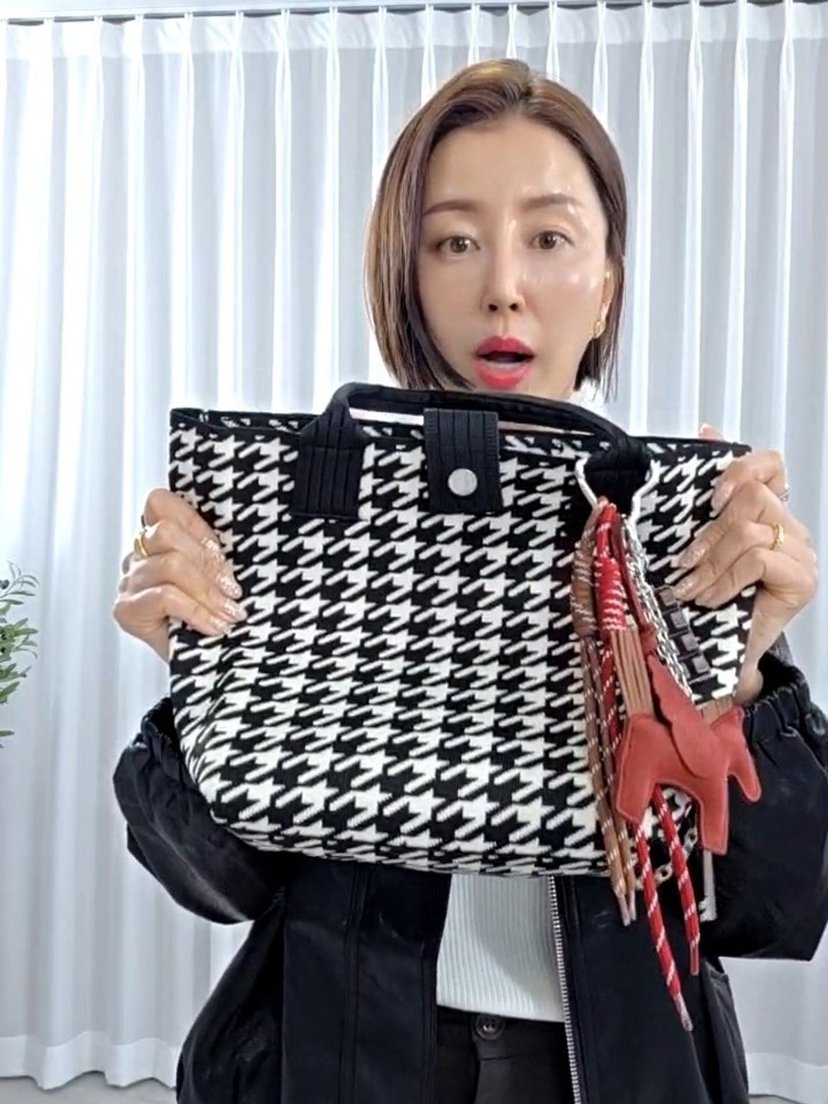 32238-디오르무드하운드투스가방 썸네일 2